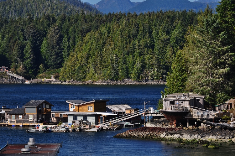 looking out over Tofino Inlet